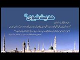 Islam Simat Kar | Hadees With Urdu Translation | Hadees Of The Day | Mobitising | Thar Production