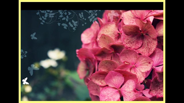 buautiful naat ye nabi pyare nabi by junaid jamshed