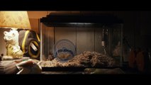 SPLIT Official Trailer (2017) James McAvoy, M. Night Shyamalan Thriller Movie HD