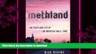 EBOOK ONLINE  Methland: The Death and Life of an American Small Town FULL ONLINE