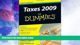 Big Deals  Taxes 2009 For Dummies (Taxes for Dummies)  Best Seller Books Most Wanted