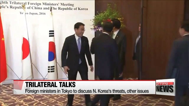 S. Korea, Japan, China's top diplomats meet in Tokyo amid tensions