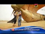 Asan Ta Yara De Yaar Haa | Arsalan Ali | Album 2 | New Saraiki Songs | Thar Production