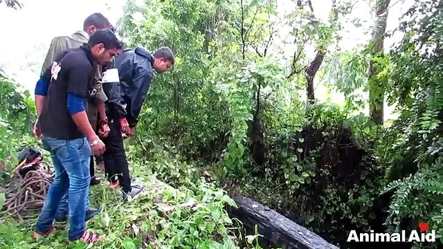 Cade in un Pozzo a Cielo Aperto, ma i Soccorsi arrivano Subito!