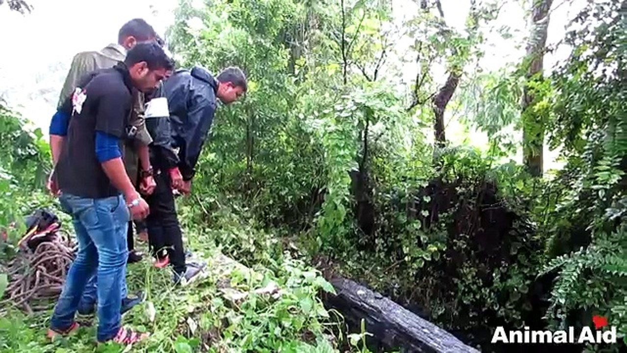 Cade in un Pozzo a Cielo Aperto, ma i Soccorsi arrivano Subito!