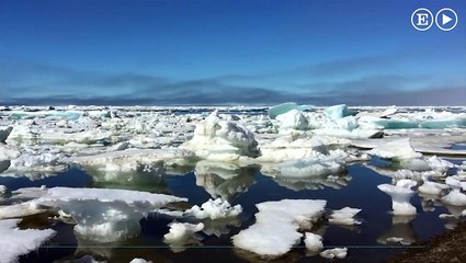 La huella humana en el planeta