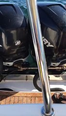 Un phoque grimpe dans un bateau pour échapper à des orques