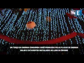 Árvore do Ibirapuera tem decoração sustentável