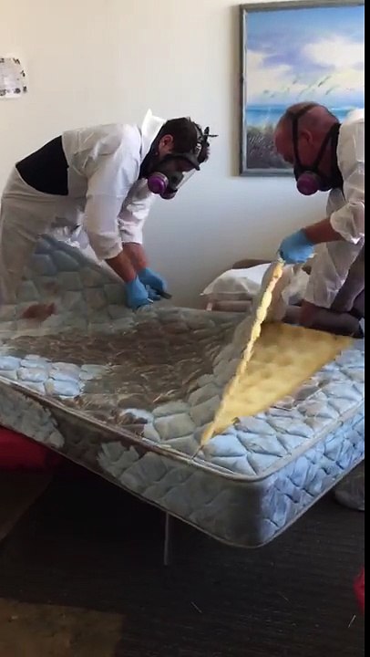 Crime scene cleanup services & Franchises