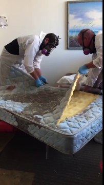 Crime scene cleanup services & Franchises