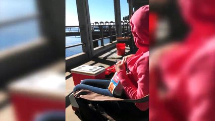 Bold Seagull Steals Chips