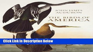 [Best Seller] The Birds of America Ebooks Reads