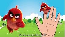 Angry Birds Chuck English - Finger Family Nursery Rhymes - Song for Children