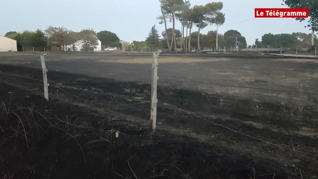 Le Cours (56). 15 ha de forêt partent en fumée