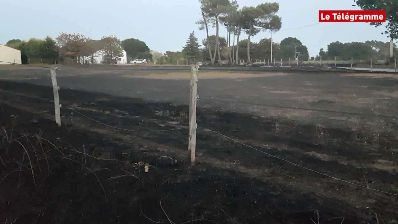 Le Cours (56). 15 ha de forêt partent en fumée