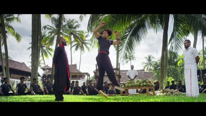 Baaghi: A Rebel For Love (2016) Fragman