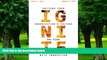 Big Deals  IGNITE: Setting your Organization s Culture on Fire with Innovation  Free Full Read