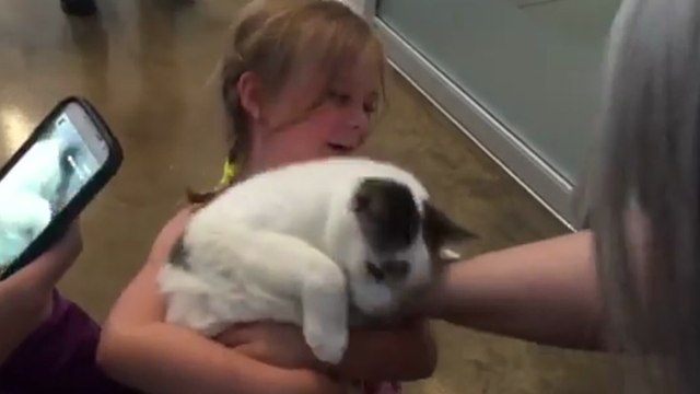 Les retrouvailles d'une petite fille et son chat