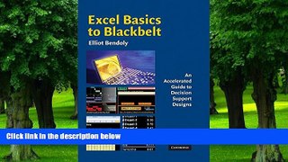 Big Deals  Excel Basics to Blackbelt: An Accelerated Guide to Decision Support Designs  Best
