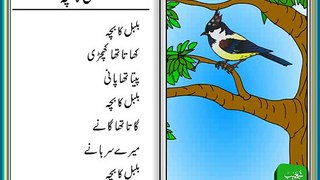 Bulbul Ka Bacha - Urdu Poem for Kids