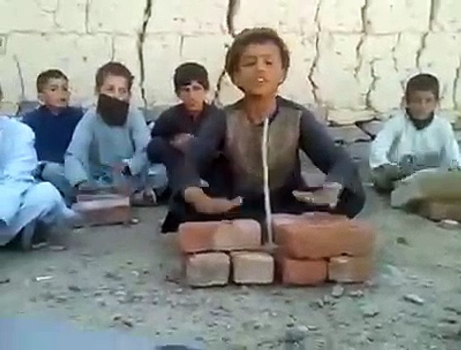 Funny video mp4