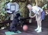Ce vieux joue au Basketball avec son chien