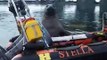Cet éléphant de mer essaye de voler le bateau de chercheurs :)