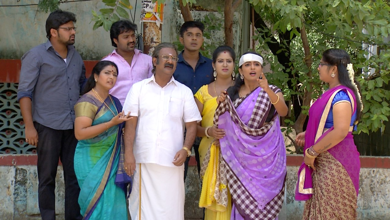 Priyamanaval Episode 486, 24/08/2016