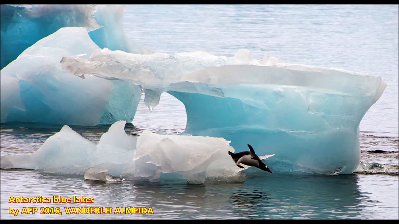 Out of Nowhere 8,000 Blue Lakes Appear in Antarctica, Get Scientists Worried.