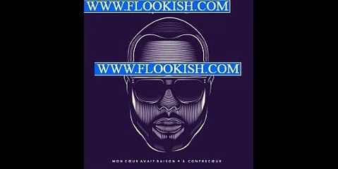 Maître Gims - Paname (Pilule violette) ( À contrecoeur 2016 )