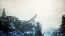 Dark Souls III - Ashes of Ariandel