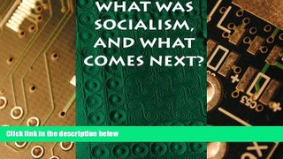 READ FREE FULL  What Was Socialism, and What Comes Next? (Princeton Studies in