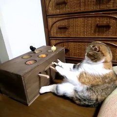 You have lol, dota. I just have this game