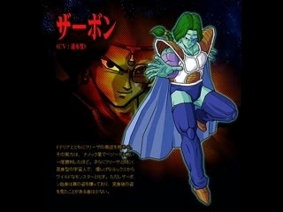 quelque perso de Dragon ball z budokai tenkaichi 3