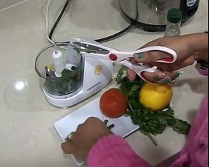 CHUTNY FOR DAAL CHAWAL