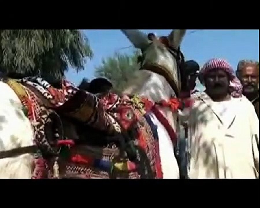 Just For Laugh