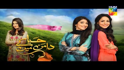 Haya Ke Daman Mein Episode 106 on Hum tv 24th August 2016