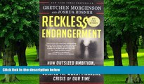 READ FREE FULL  Reckless Endangerment: How Outsized Ambition, Greed, and Corruption Created the