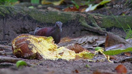 세상의 모든 다큐.160825