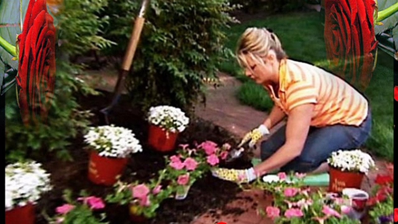 Mustafa Yıldızdogan Sen Neredesin.