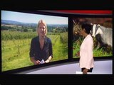 BBC News 23Aug16 - badger cull extension