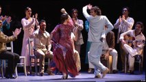 Flamenco: poesia em movimento
