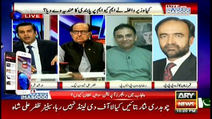 Urdu-speaking community voted for democracy, not RAW agent: Raza Haroon