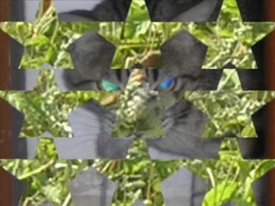 Mystérieuse nature