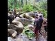 WORLD  BIGGEST SNAKE ANACONDA FOUND IN AMERICA'S AMAZON RIVER