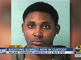 Phoenix shooting suspect in custody