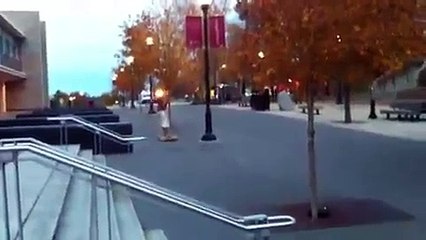 Aladdin Longboards through College Town