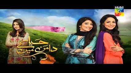 Haya Ke Daman Mein Episode 105 Full HD Hum TV Drama 24 Aug 2016 - YouTube