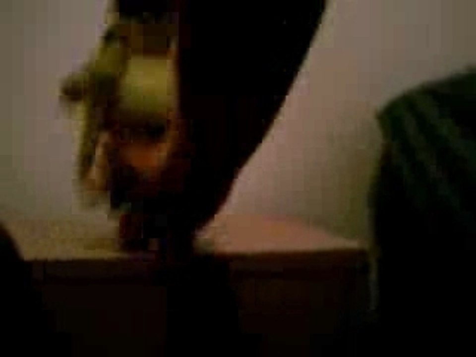 FFW Serena/Sailor Moon VS Raye/Sailor Mars