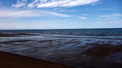 Chili Moon telling the birds